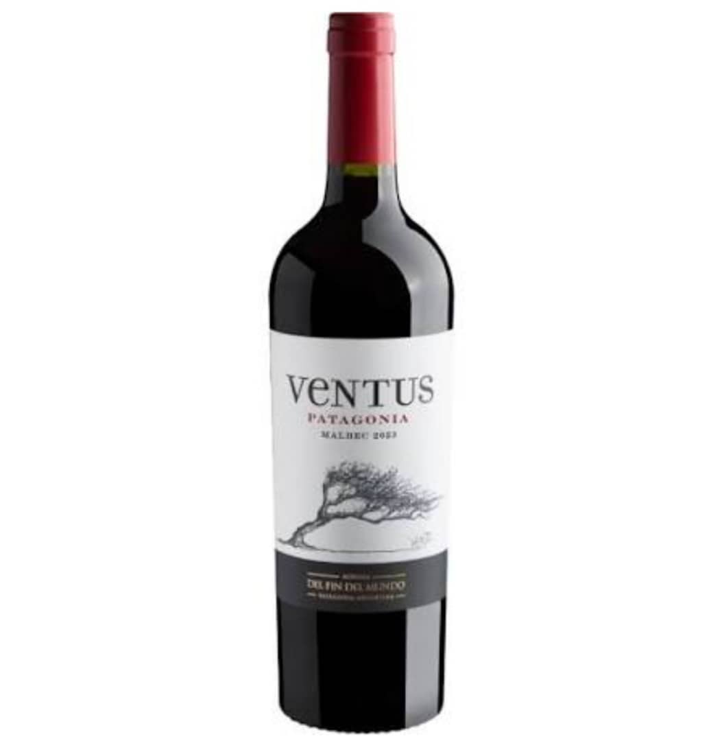 Ventus Patagonic Malbec - 750Mls